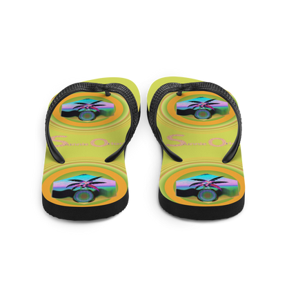 Flip-Flops