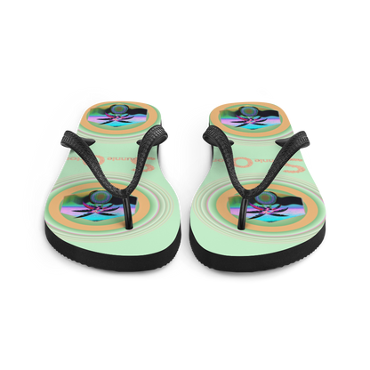 Flip-Flops