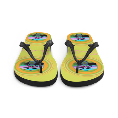 Flip-Flops