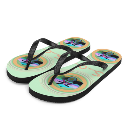 Flip-Flops