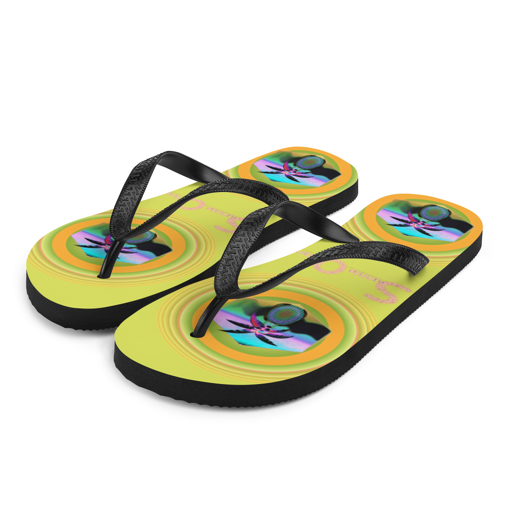 Flip-Flops