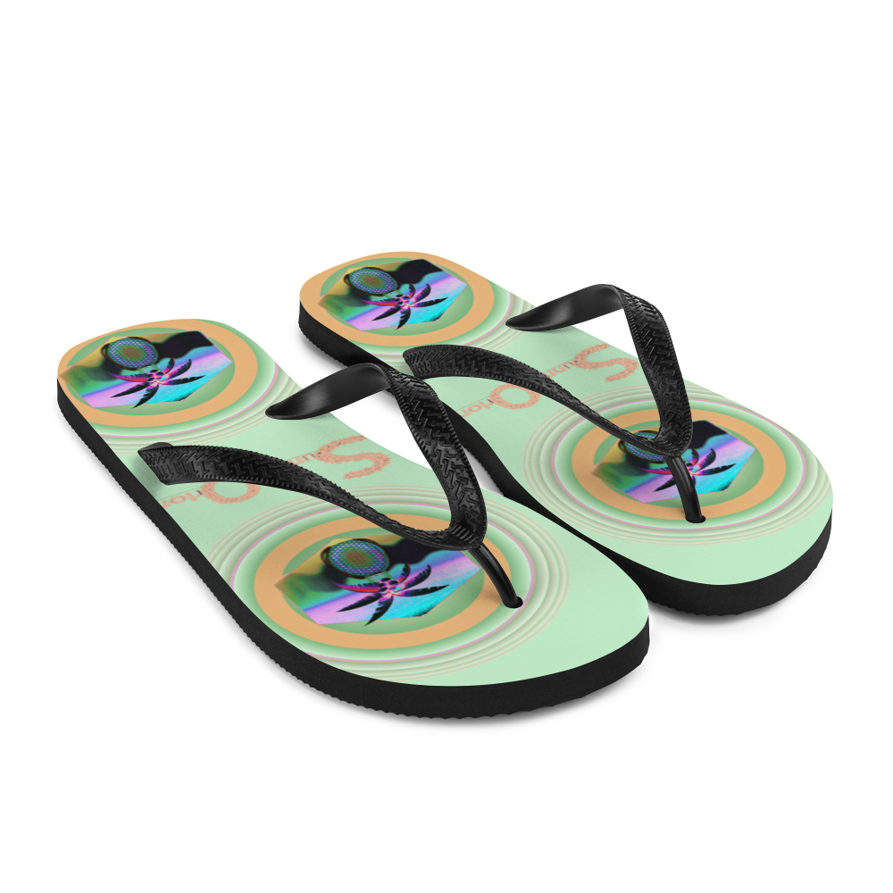 Flip-Flops