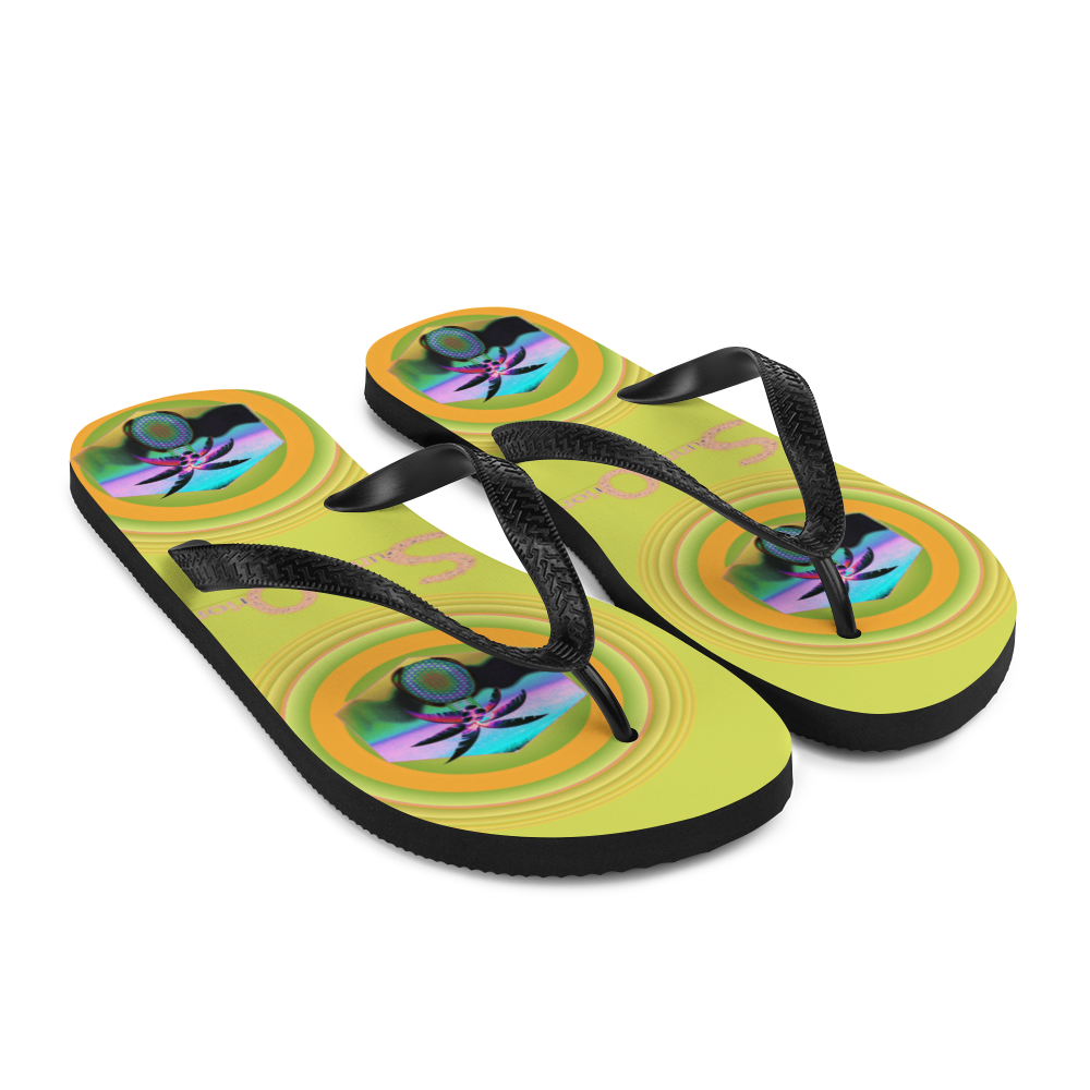 Flip-Flops