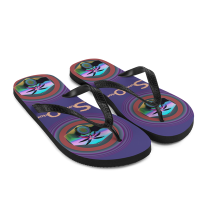 Flip-Flops