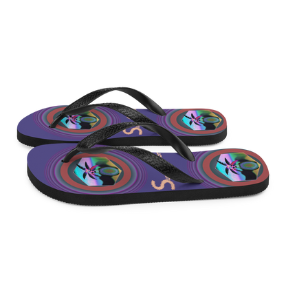 Flip-Flops