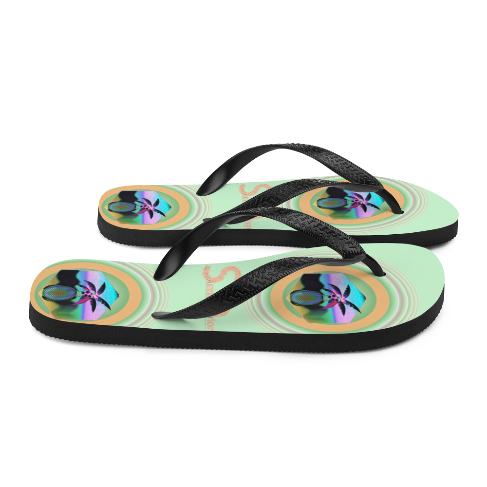 Flip-Flops