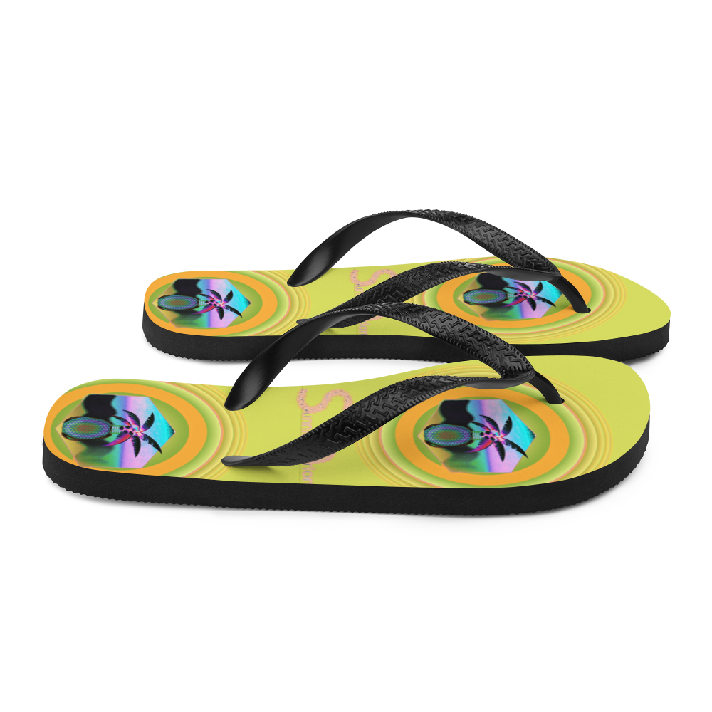 Flip-Flops