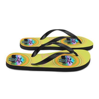 Flip-Flops