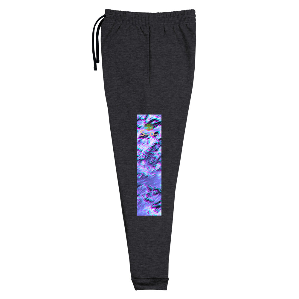 SB2x Unisex Joggers